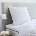 Oreiller plumes en lot de 2 - blancheporte