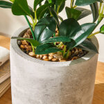 Plante artificielle en pot - blancheporte