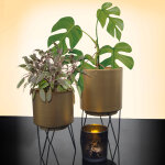 Pot de fleurs sur pied - lot de 2 - blancheporte