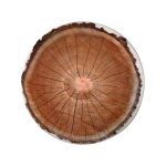 Set de table imprim  rondin  - lot de 4 - blancheporte