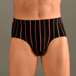 Slip ferms rays taille haute - lot de 6 - blancheporte