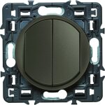 Double interrupteur legrand celiane 2 noir 10a + enjoliveur graphite