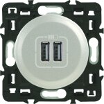 Double prise usb legrand celiane en titane