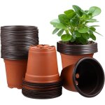 Kalanka - hemoton 12 x 12 x 10, 8 cm lot de 50 pots de fleurs en plastique - pour intérieur et extérieur ... Kalanka - hemoton 12 x 12 x 10, 8 cm lot de 50 pots de fleurs en plastique - pour intérieur et extérieur ...