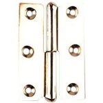 Lot de 2 paumelles nickel?es 60 x 40 mm gauche