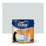 Peinture blanc argent dulux valentine color resist 2, 5l
