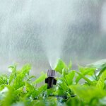 Shop - story - miracle - mist : systme d'irrigation arrosage automatique