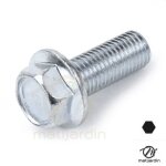 Vis de lame pour honda, iseki, kaaz n 90105 - 950 - 003. pas � droite.