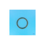 Joint ampoule proj std - liner / b�ton (remplace 7211100110) (astralpool) ref. 4403010304