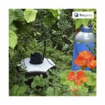 Pack bg mosquitaire avec booster co2