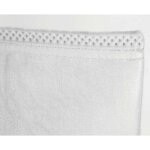 Poche filtrante 30 microns compatible desjoyaux