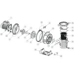 Vis + joint de turbine ppe pentair ultraflow