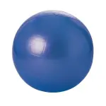 Balle gymnique - 55 cm