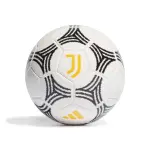 Ballon domicile juventus turin