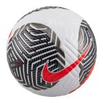 Ballon nike flight