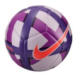 Ballon nike futsal maestro