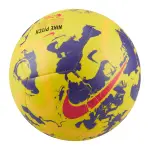 Ballon nike premier league pitch
