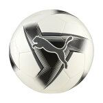 Ballon puma prestige