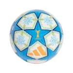 Ballon uwcl adidas 2024 / 25