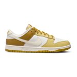 Baskets nike dunk retro