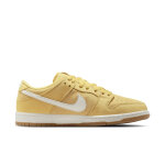 Baskets nike sb dunk low pro