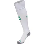 Chaussettes ext�rieur asse 2022 / 23