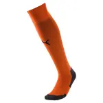Chaussettes puma liga core