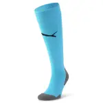 Chaussettes puma team liga core