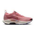 Chaussures de trail femme nike pegasus trail 5 gore - tex