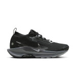 Chaussures de trail femme nike pegasus 5 gore - tex