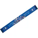 �charpe sublime joueurs france