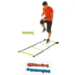 Echelle de rythme tremblay 8m