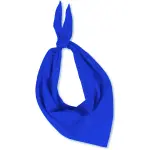 Foulard sporti