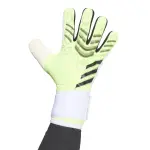 Gants de gardien adidas predator glove competition