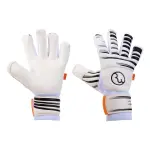 Gants de gardien rwlk original titanium fn