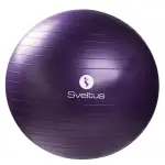 Gymball + bo�te sveltus 75cm