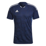 Maillot adidas condivo 22 match day