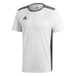 Maillot adidas entrada 18