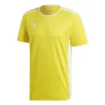 Maillot adidas entrada 18