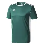 Maillot adidas entrada 18