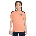 Maillot enfant chelsea dri - fit strike 2024 / 25