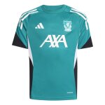Maillot d'entraînement enfant liverpool fc eu 2025 / 26 Maillot d'entraînement enfant liverpool fc eu 2025 / 26