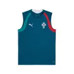 Maillot d'entra�nement sans manches portugal coupe du monde 2026