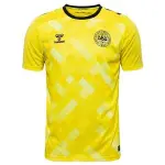 Maillot du gardien de but danemark 2024