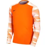 Maillot de gardien ml enfant nike dry park iv