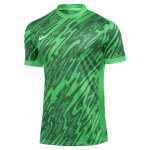 Maillot de gardien nike gardien v