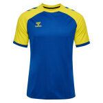 Maillot hummel league
