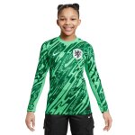 Maillot manches longues pour gardien enfant pays - bas dri - fit euro 2024