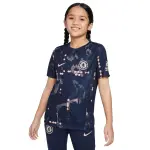 Maillot prematch enfant chelsea dri - fit academy pro 2024 / 25