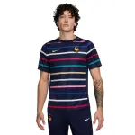 Maillot prematch france dri - fit academy pro 2024 / 25
